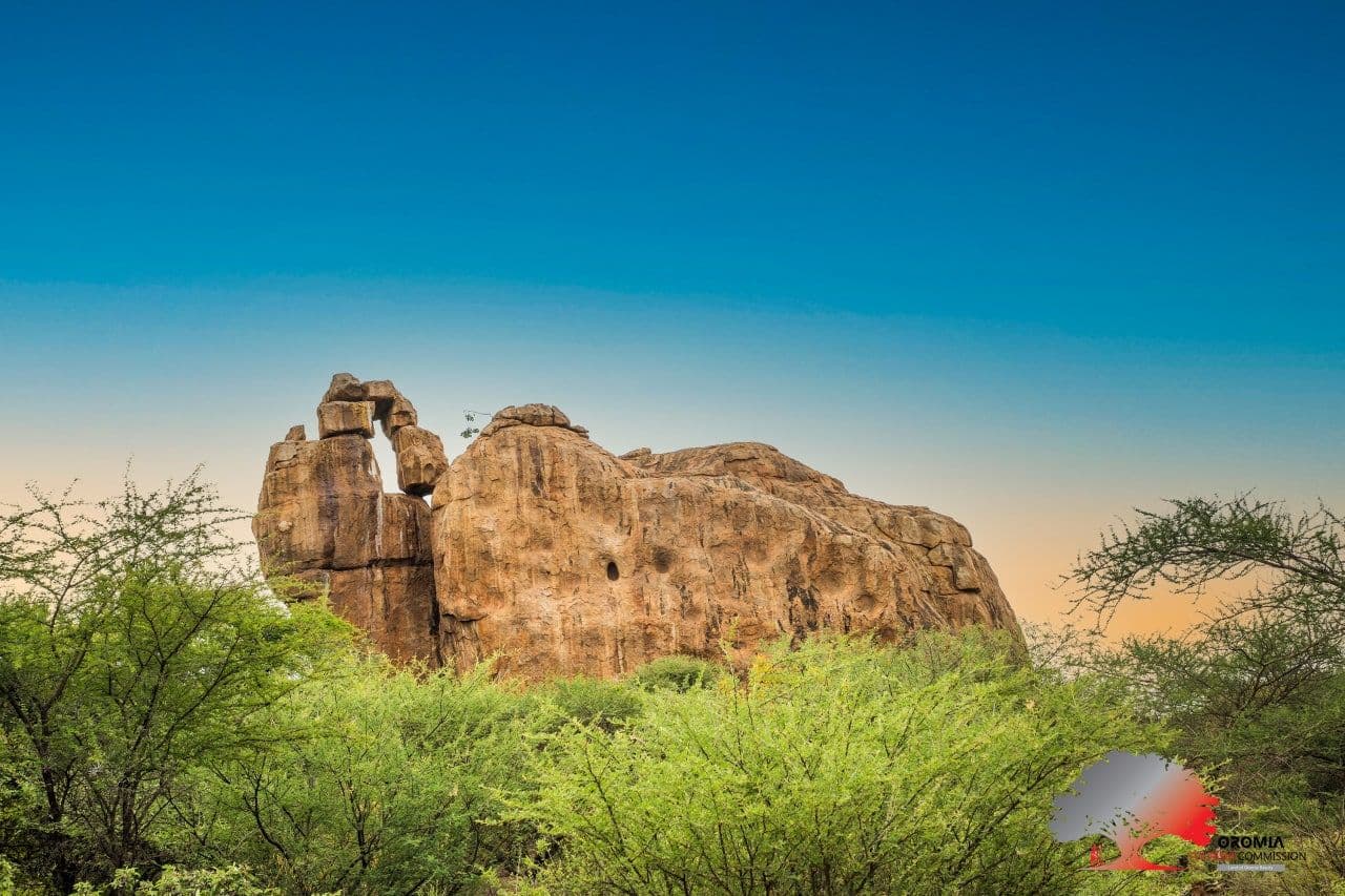 Babile Elephant Sanctuary