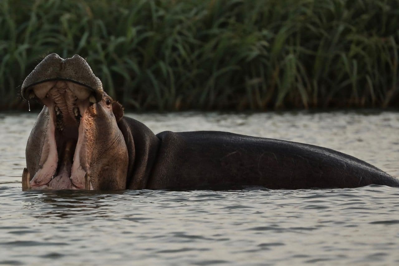 Dhati Walal National Park