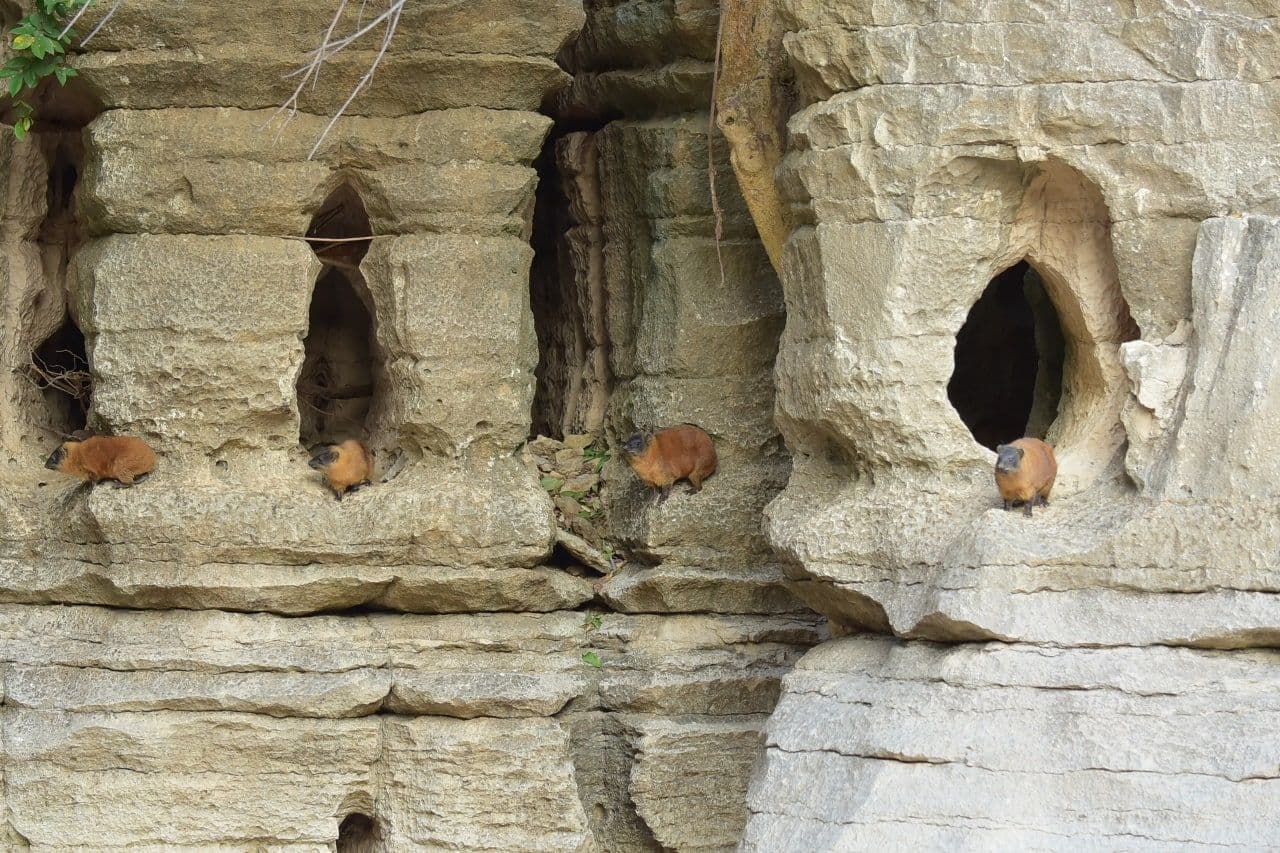 Sof Umar Cave — photo 1