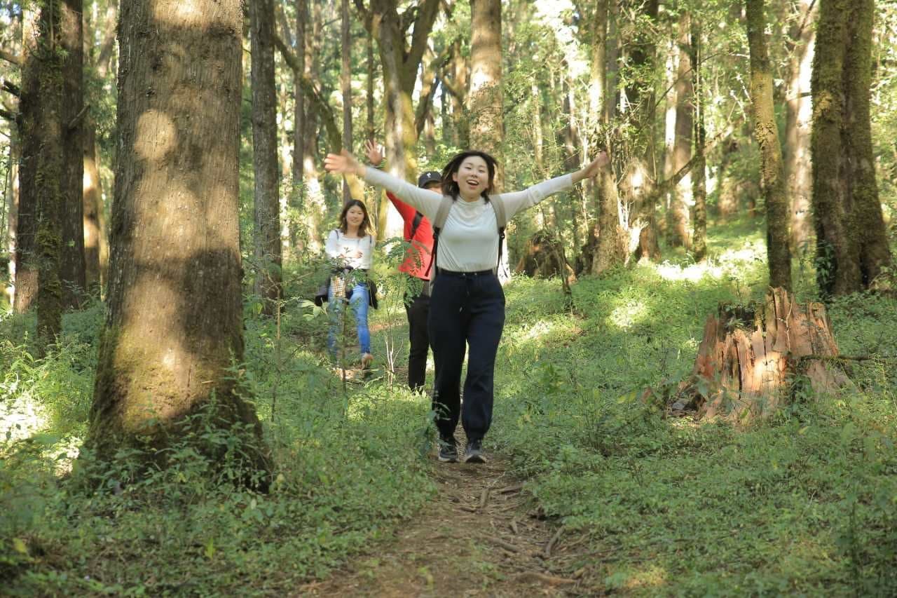 Suba Menagesha Forest Reserve
